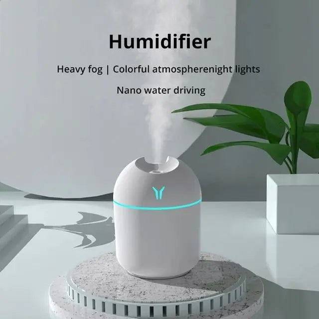 Compact USB Humidifier with LED Night Lamp